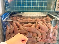 -松云居.大连人.大连菜