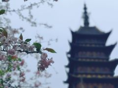 -常熟方塔园