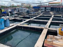 -蓝湾碧波·老字号·疍家非遗海上餐厅