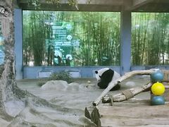 -海南热带野生动植物园