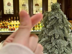 -上海外滩华尔道夫酒店