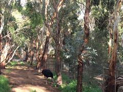 -威勒比开放式动物园