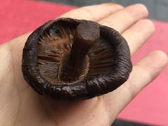 -金盆阿嬷香菇茶叶蛋(玄光店)