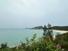 -广东惠东海龟国家级自然保护区