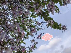 -天河体育中心