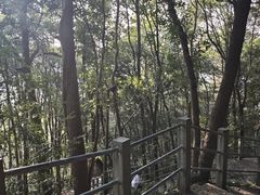 -灵顺寺