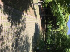 iphone_upload_pic-汉拿树木园