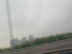 -都士牧人现烤牛肉干