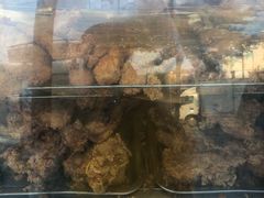 -德盛炸鸡腿(大沽南路店)