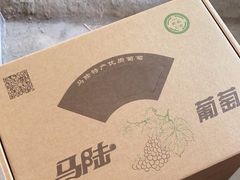 -马陆小张葡萄园农家乐