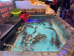 -山河屯铁锅炖鲜鹅·东北菜(开发区一店)