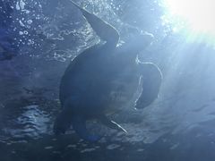 -太平洋海底世界