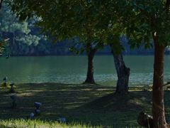 -福建鲤鱼洲酒店