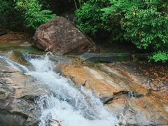 -广州白江湖森林公园