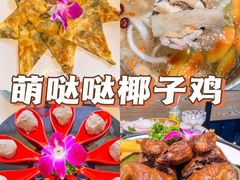 -亚龙湾热带天堂森林公园