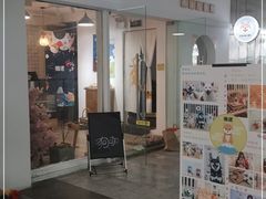 门面-柴迷FANS CLUB·柴犬狗咖·猫咖