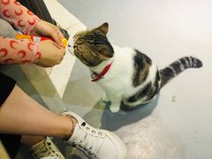-小时光咖啡馆(开森度假森林店)