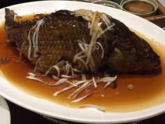 -津菜宋记老房子(鼓楼店)
