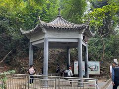-羚羊峡古栈道森林公园