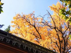 -苏州文庙(姑苏区)