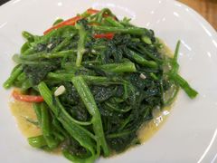 -永記粤菜·五指毛桃花雕鸡煲(九亭店)