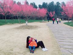 -三圣花乡旅游区