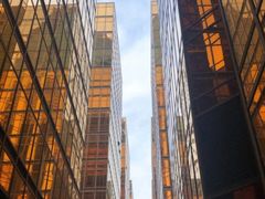 -香港皇家太平洋酒店