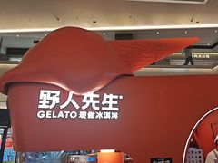 -野人先生现做冰淇淋(北京王府井东方新天地店)