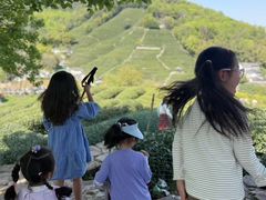 -前小桔亲子创意农场·草莓采摘·露营烧烤