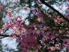 -桃花涧