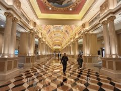 -澳门威尼斯人综合度假区