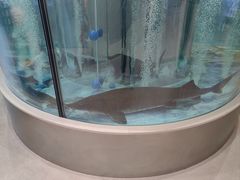 大堂-海底捞大排档火锅(打浦路店)