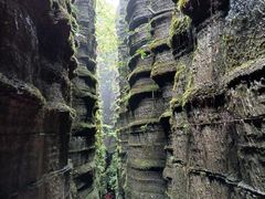 -梭布垭石林景区