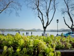 -青竺·青竹茶舍(断桥店)