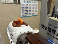 -谐和益家动物医院·免疫绝育·血液透析·宠保定点医院(高新伊藤分院)