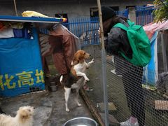 -成都爱之家动物救助中心