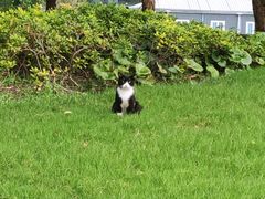 -公平路渡口(轮渡站)