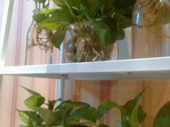 -19号私房菜(云南路店)