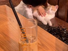 -猫小院猫主题餐厅(三里屯店)