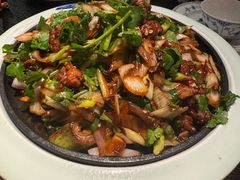 -玖五京菜(杭州城北万象城店)