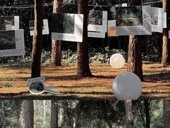 -南宁良凤江国家森林公园