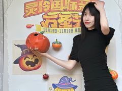 -灵玲国际马戏城