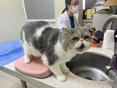 -美联众合动物医院·24h京西诊疗中心