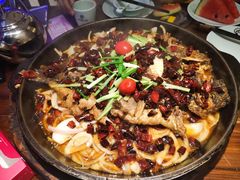 老板恋上鱼-老板恋上鱼(荣盛广场店)