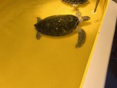-秦皇岛新澳海底世界