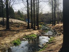 -白水寺森林公园