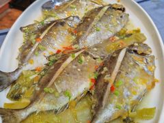 -百年银屏蚝烙·潮汕菜·非遗(乐山店)