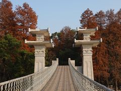 -东湖落雁景区