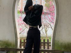 -南汇桃花村
