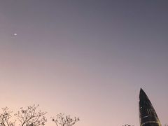 -深圳人才公园